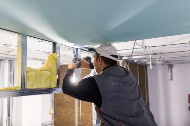 Professional Insulation Contractor in LA