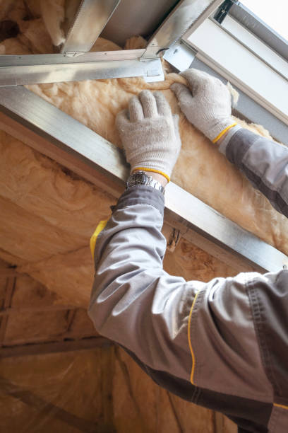 Best Insulation Installation Services in Banks Springs, LA